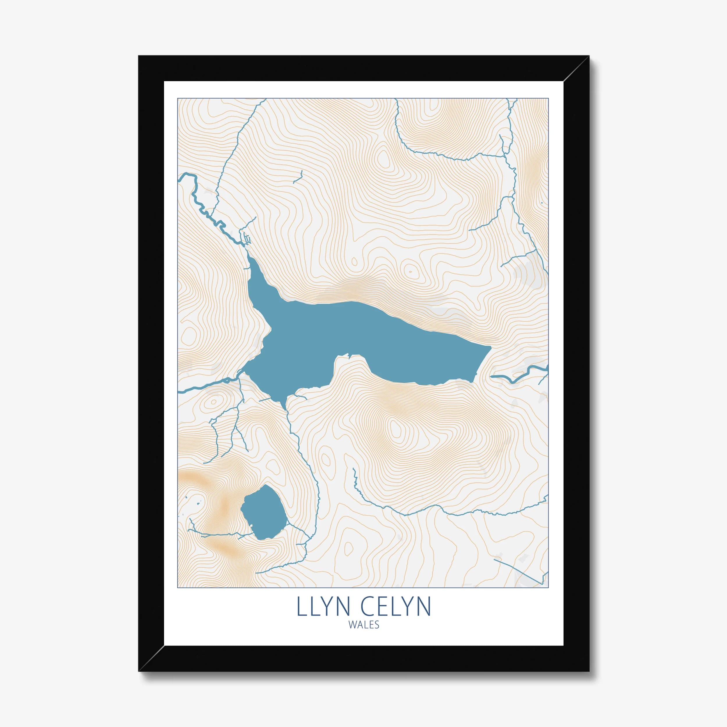Llyn Celyn, Wales, Colour Contour — Map Art Print
